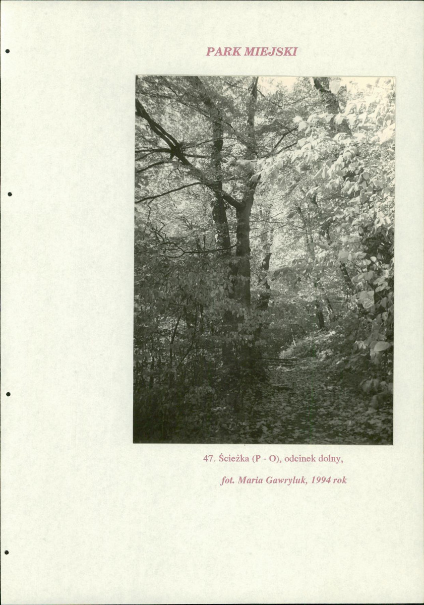 EP - Ewidencja parkowa, skan nr 219