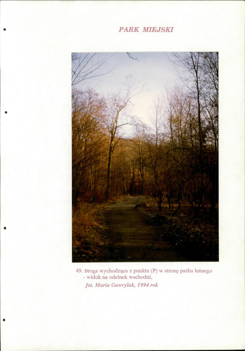 EP - Ewidencja parkowa, skan nr 221