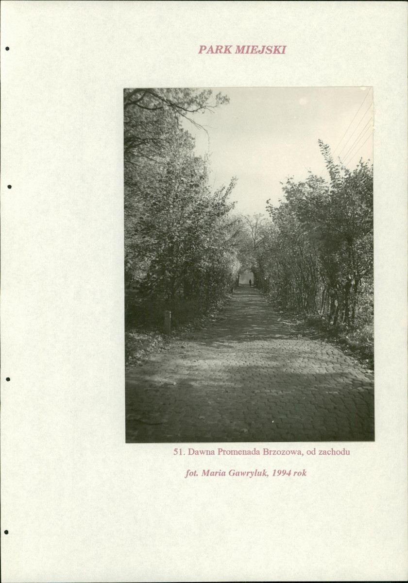 EP - Ewidencja parkowa, skan nr 223