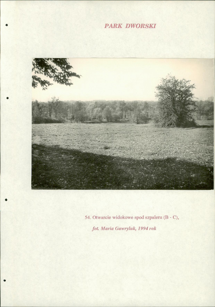 EP - Ewidencja parkowa, skan nr 226