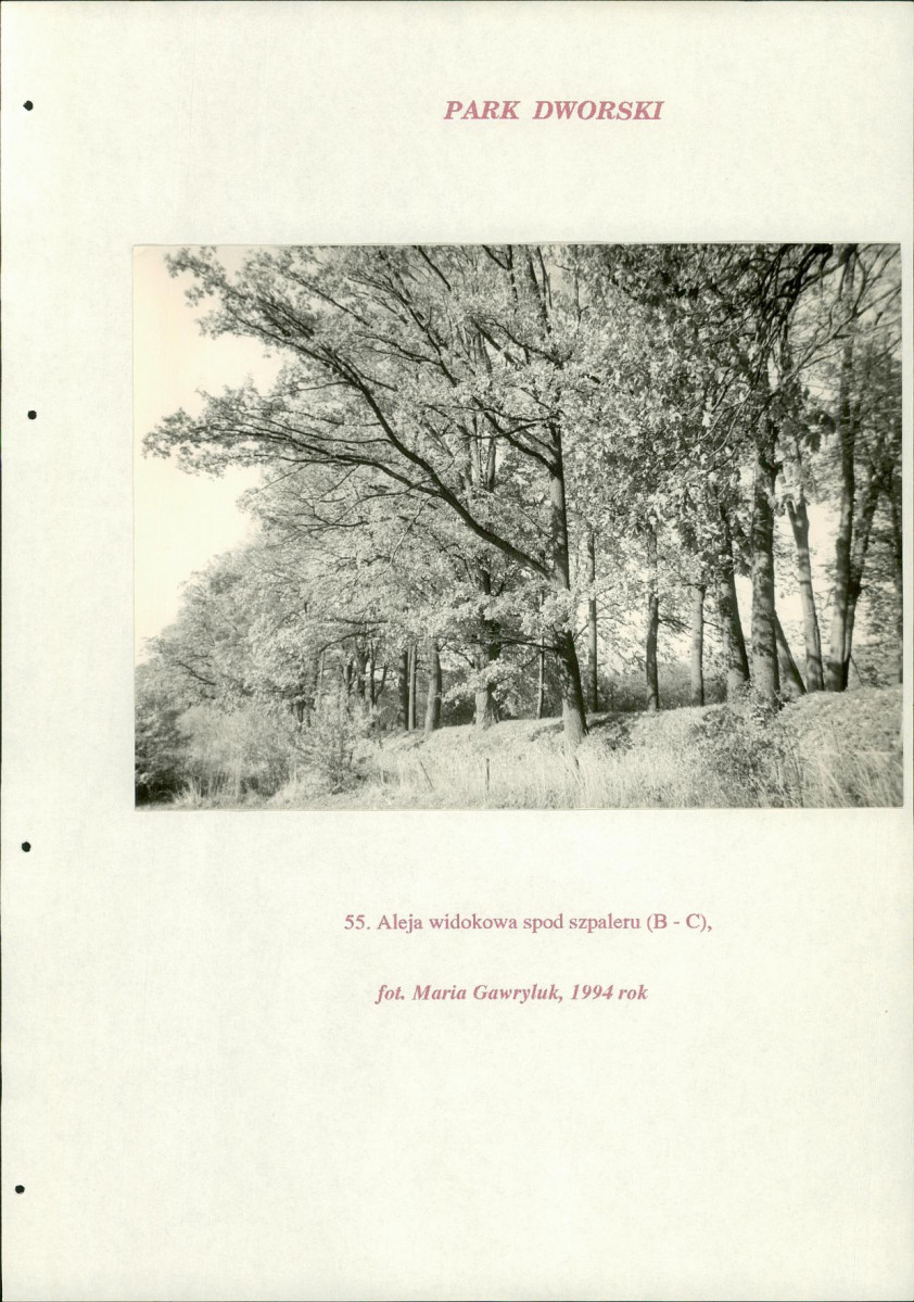 EP - Ewidencja parkowa, skan nr 227