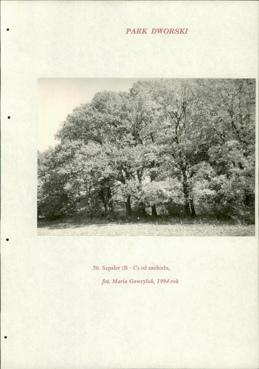 EP - Ewidencja parkowa, skan nr 228