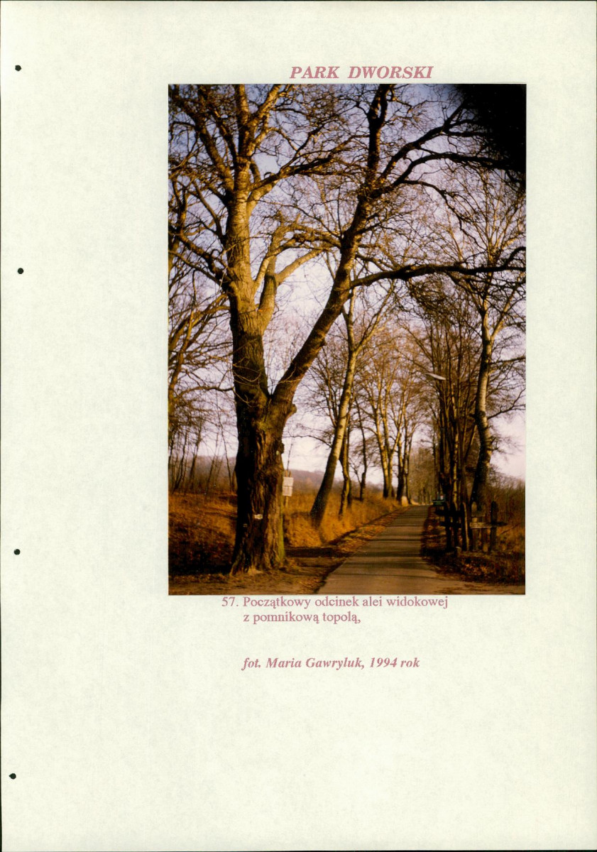 EP - Ewidencja parkowa, skan nr 229
