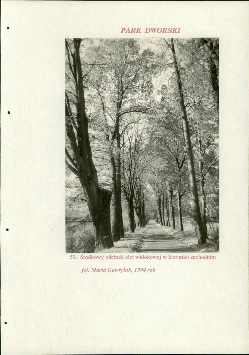EP - Ewidencja parkowa, skan nr 231