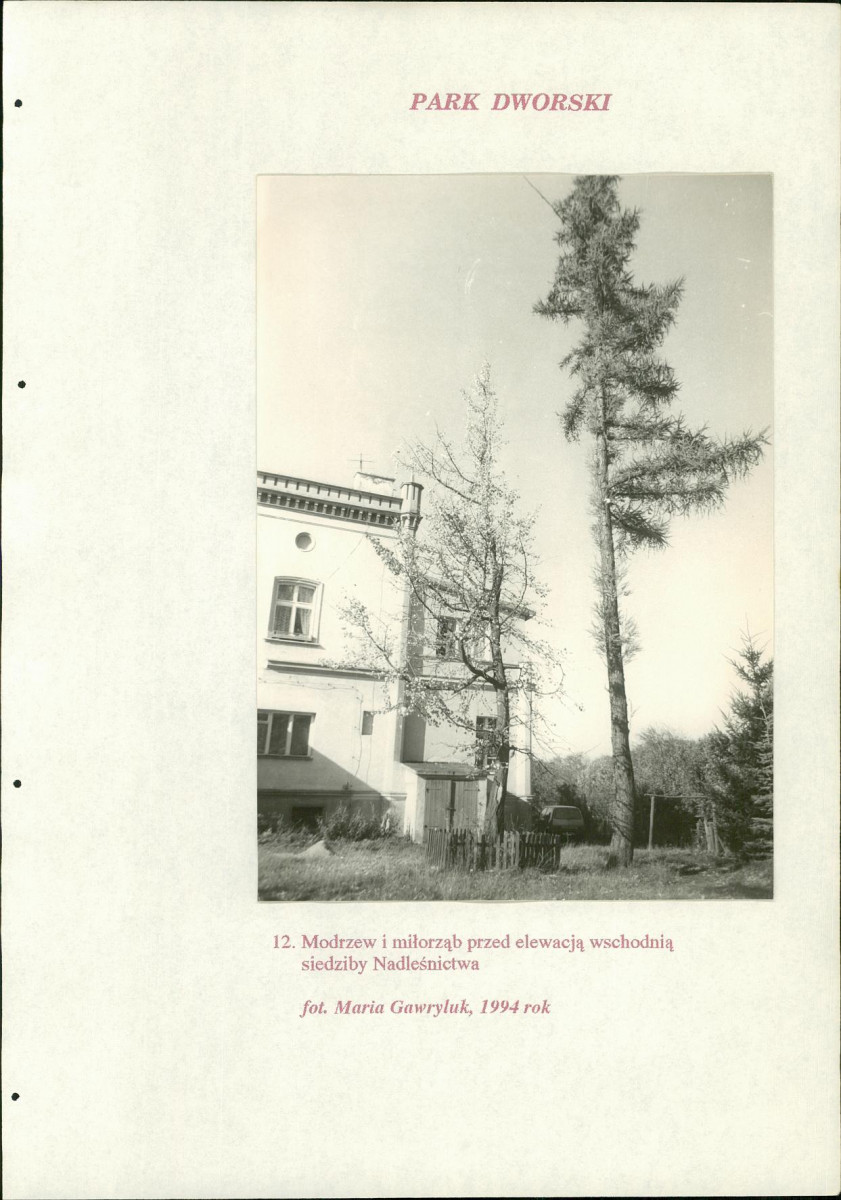 EP - Ewidencja parkowa, skan nr 184