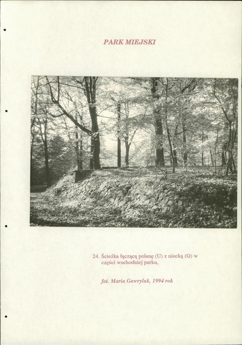 EP - Ewidencja parkowa, skan nr 196