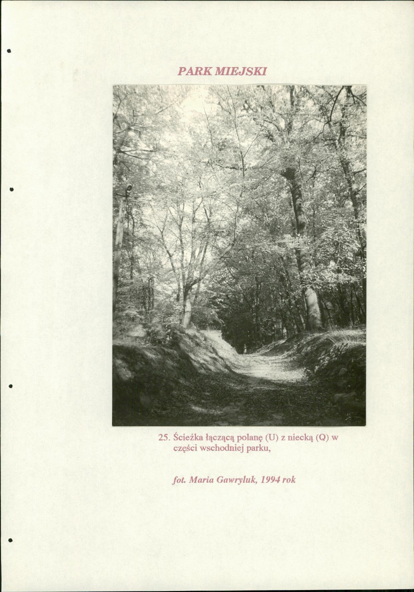 EP - Ewidencja parkowa, skan nr 197