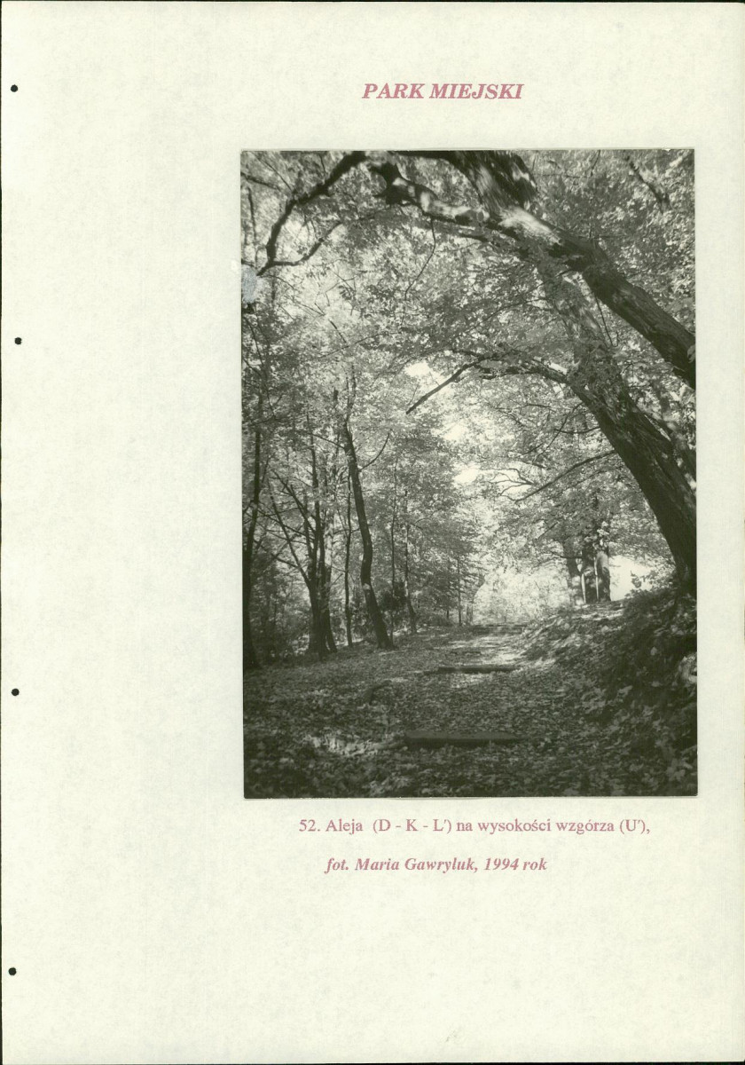 EP - Ewidencja parkowa, skan nr 224