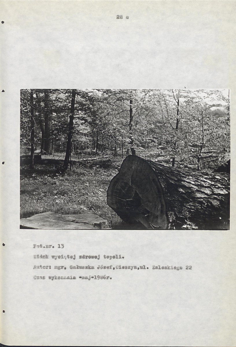 EP - Ewidencja parkowa, skan nr 43