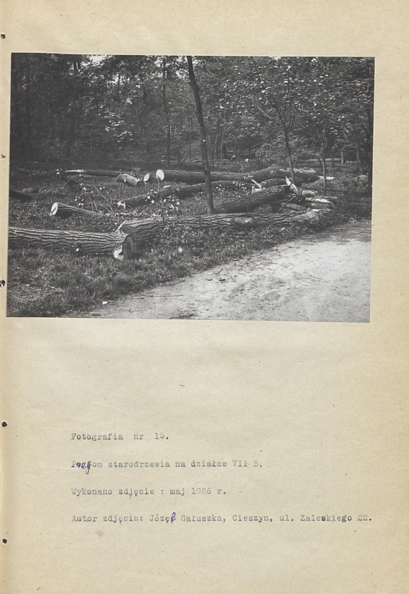 EP - Ewidencja parkowa, skan nr 45