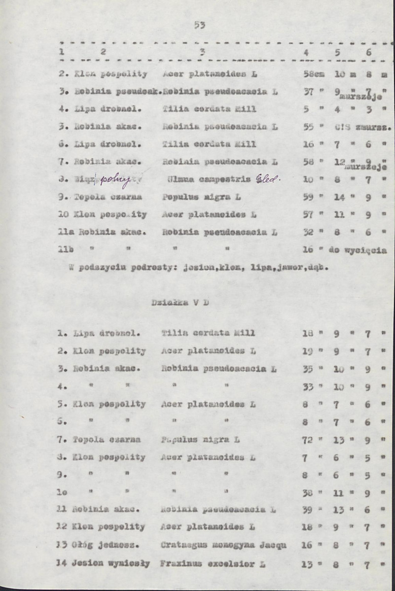 EP - Ewidencja parkowa, skan nr 73