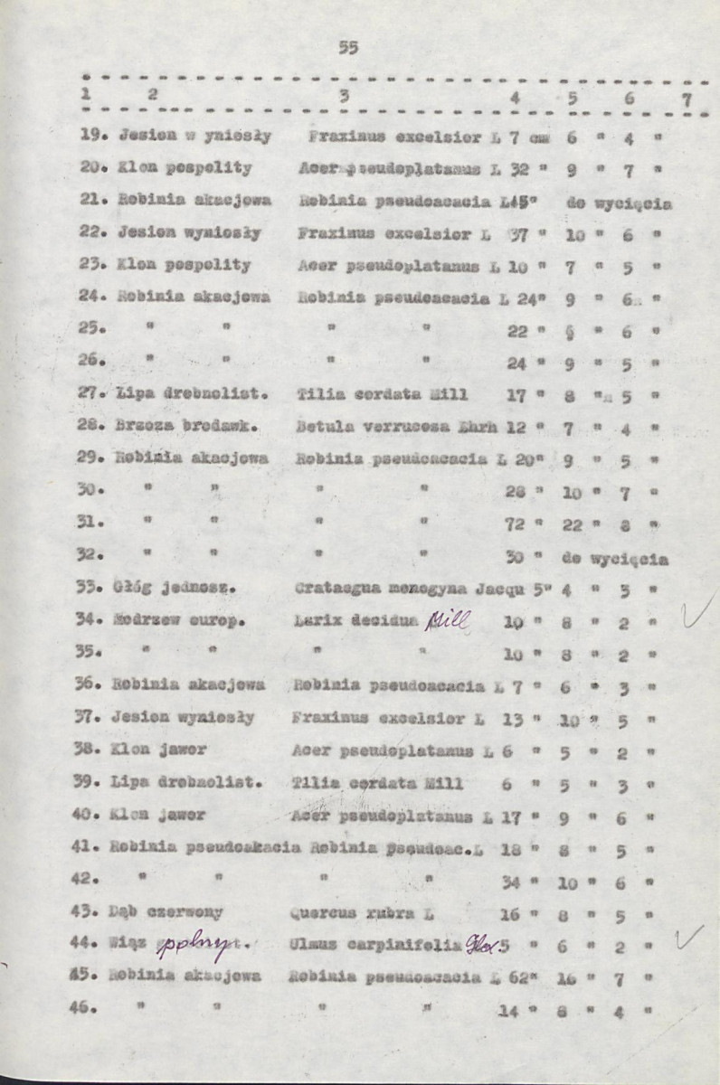 EP - Ewidencja parkowa, skan nr 75