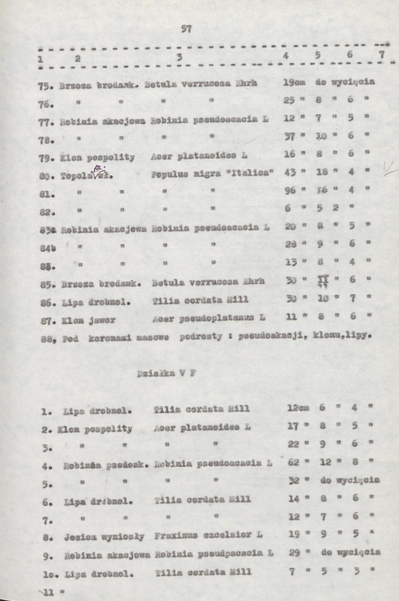 EP - Ewidencja parkowa, skan nr 77