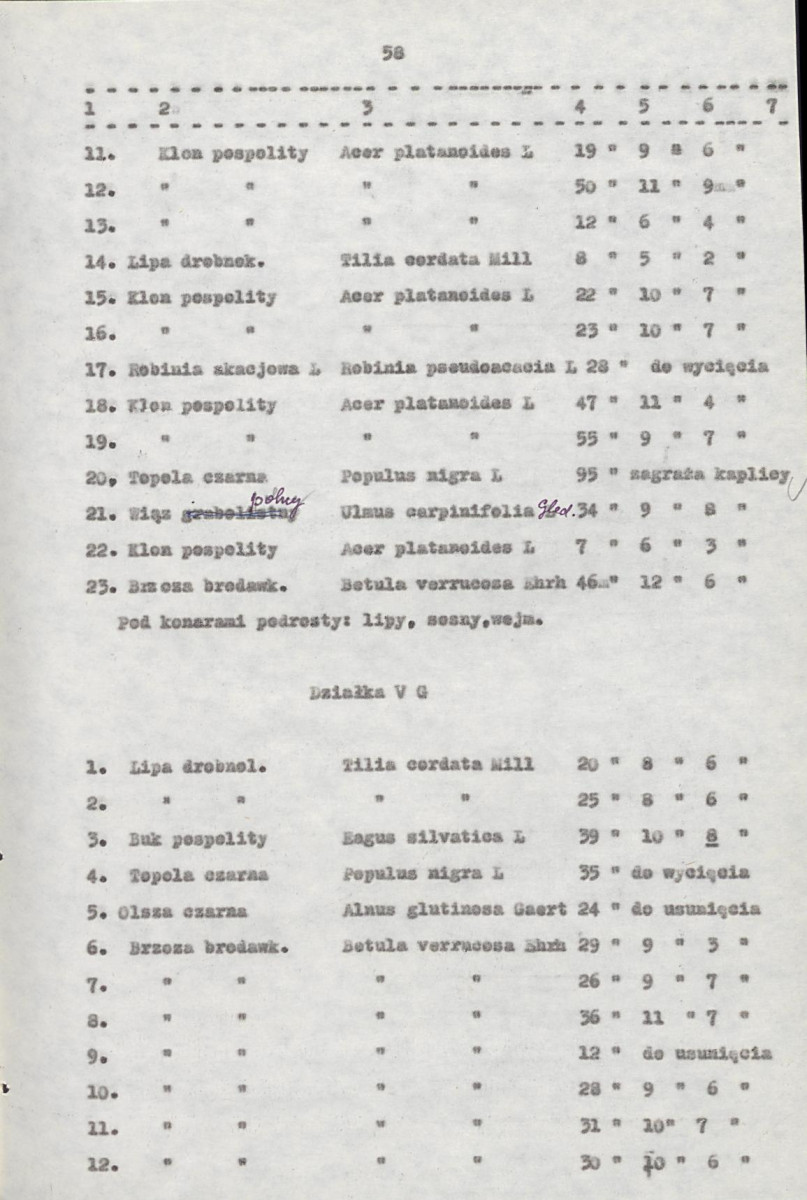 EP - Ewidencja parkowa, skan nr 78