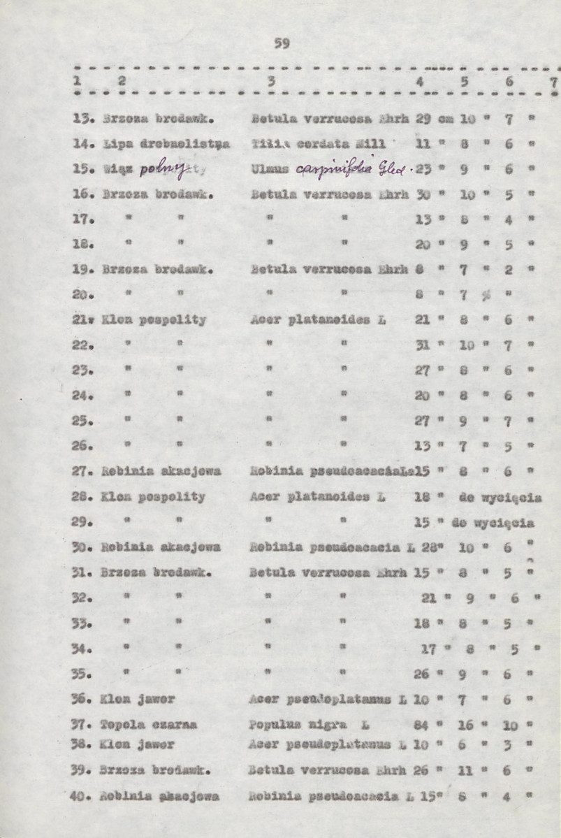 EP - Ewidencja parkowa, skan nr 79