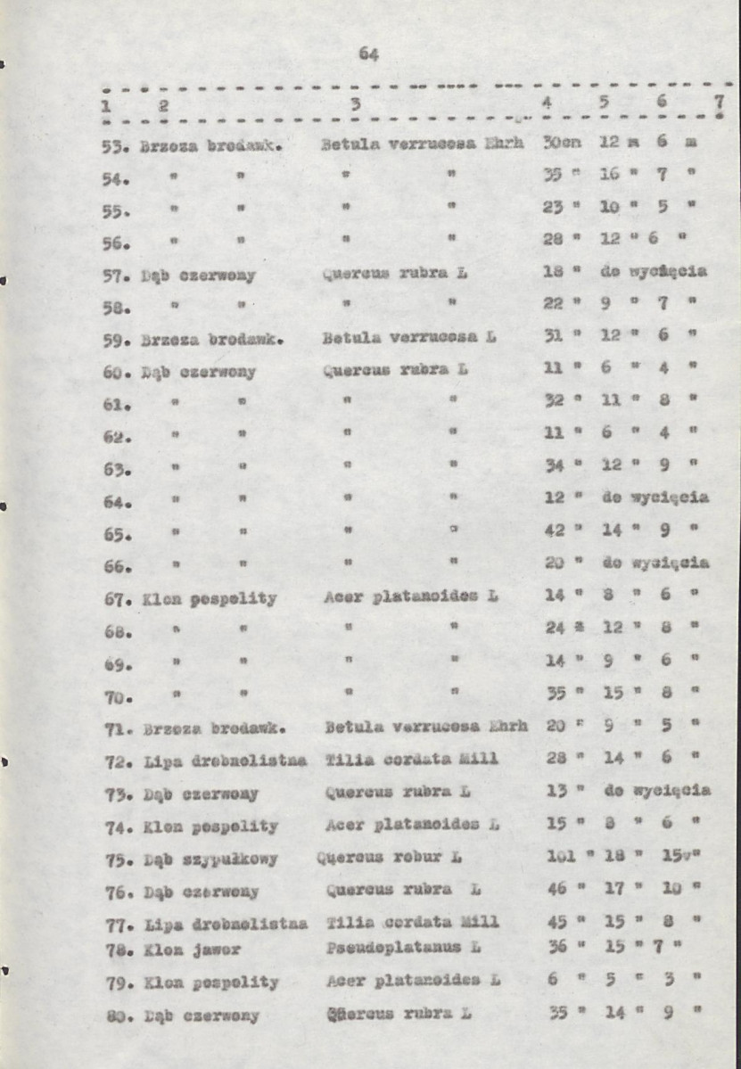 EP - Ewidencja parkowa, skan nr 84