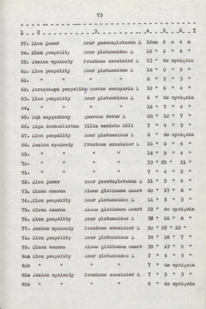 EP - Ewidencja parkowa, skan nr 93