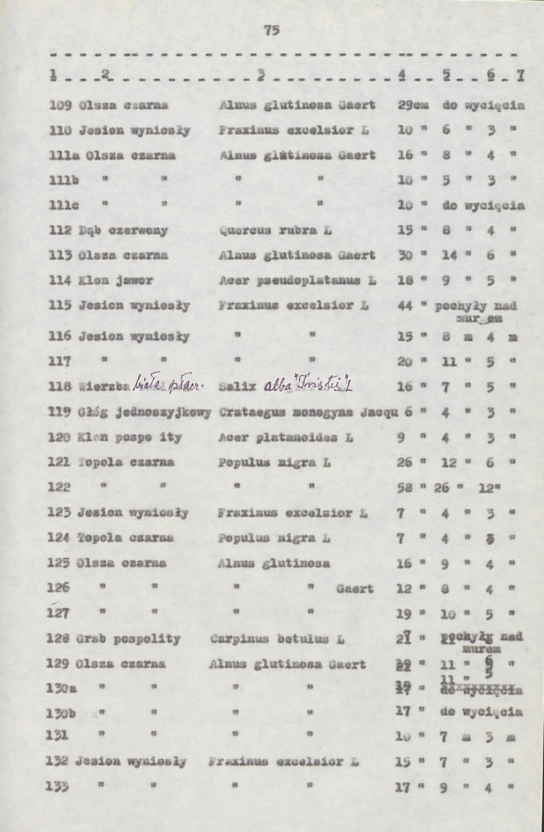 EP - Ewidencja parkowa, skan nr 95