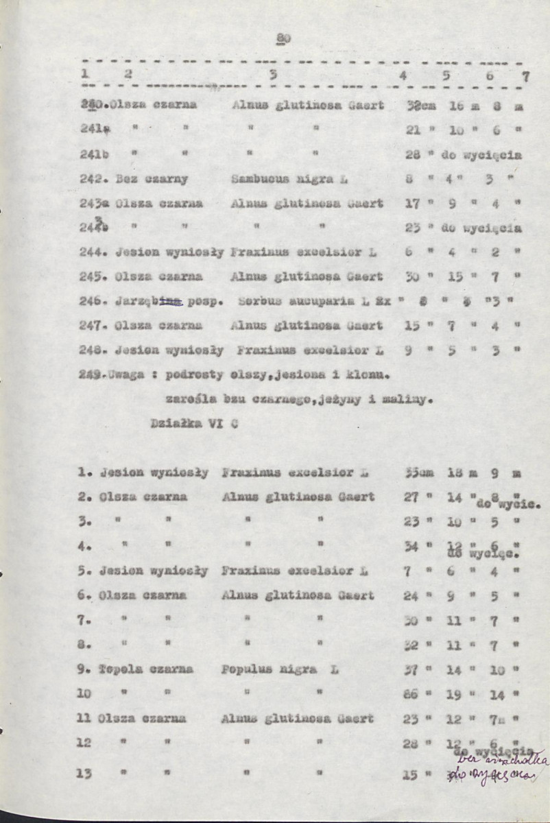 EP - Ewidencja parkowa, skan nr 100