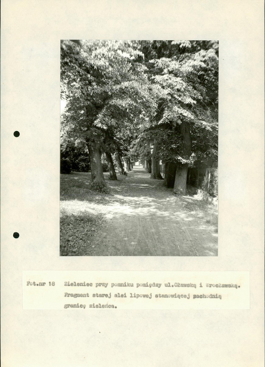 EP - Ewidencja parkowa, skan nr 96