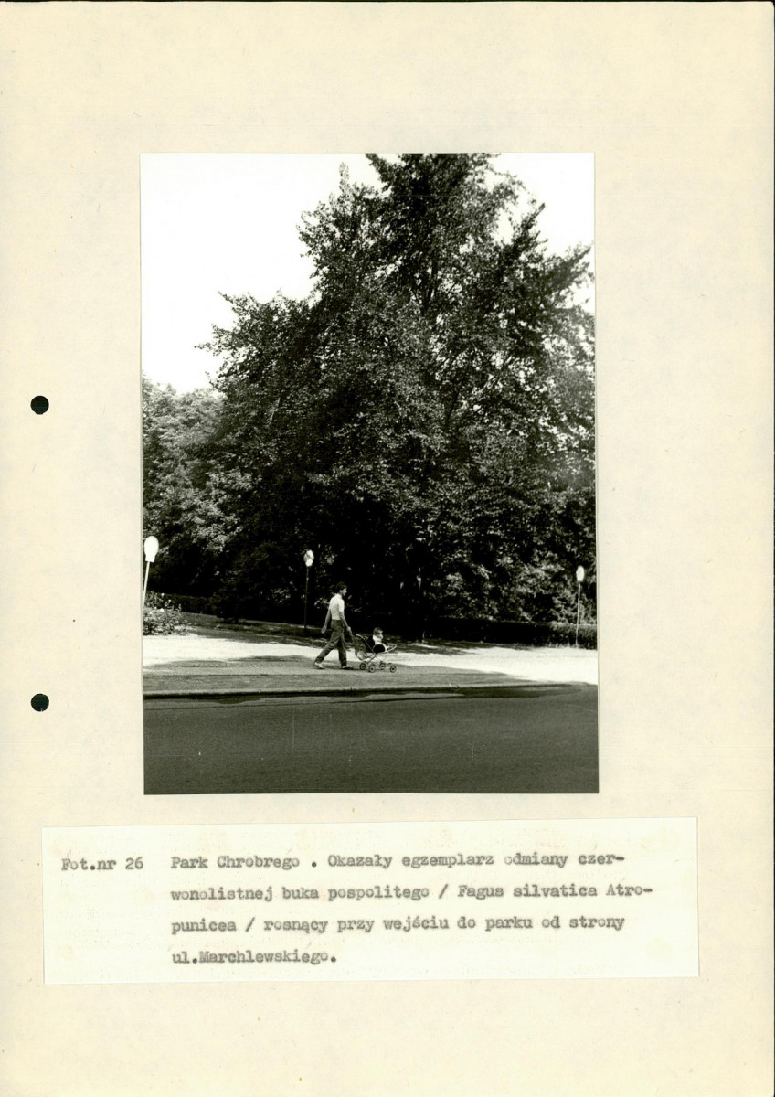 EP - Ewidencja parkowa, skan nr 104