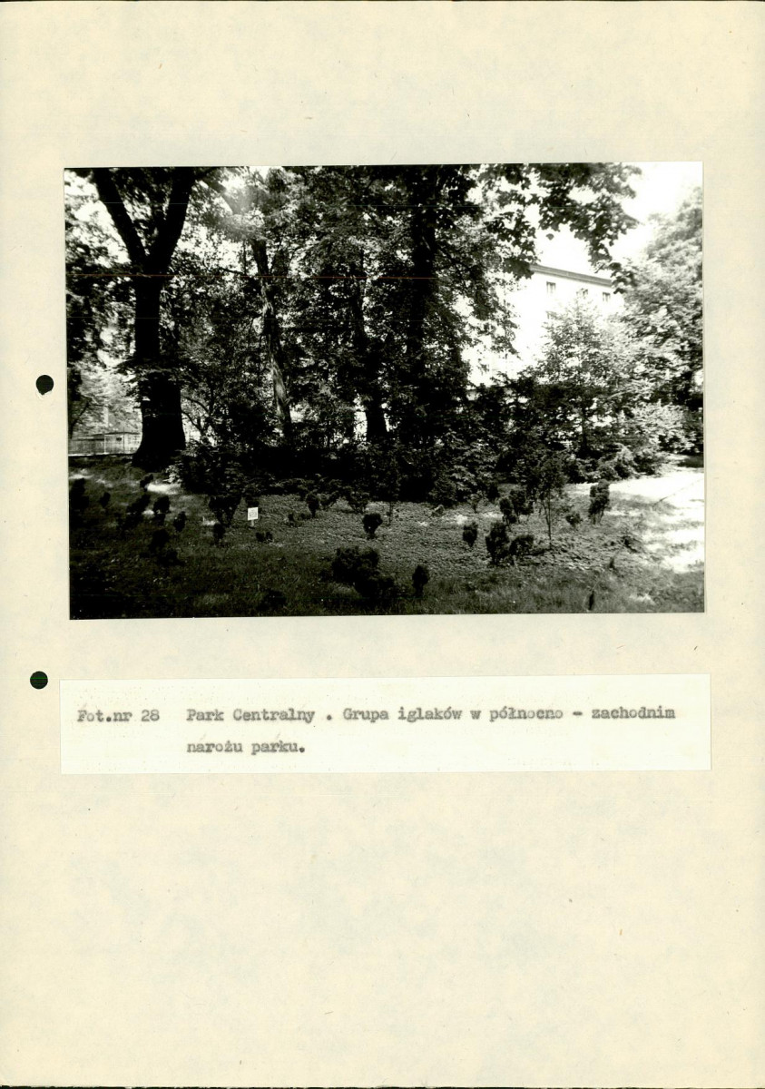 EP - Ewidencja parkowa, skan nr 106
