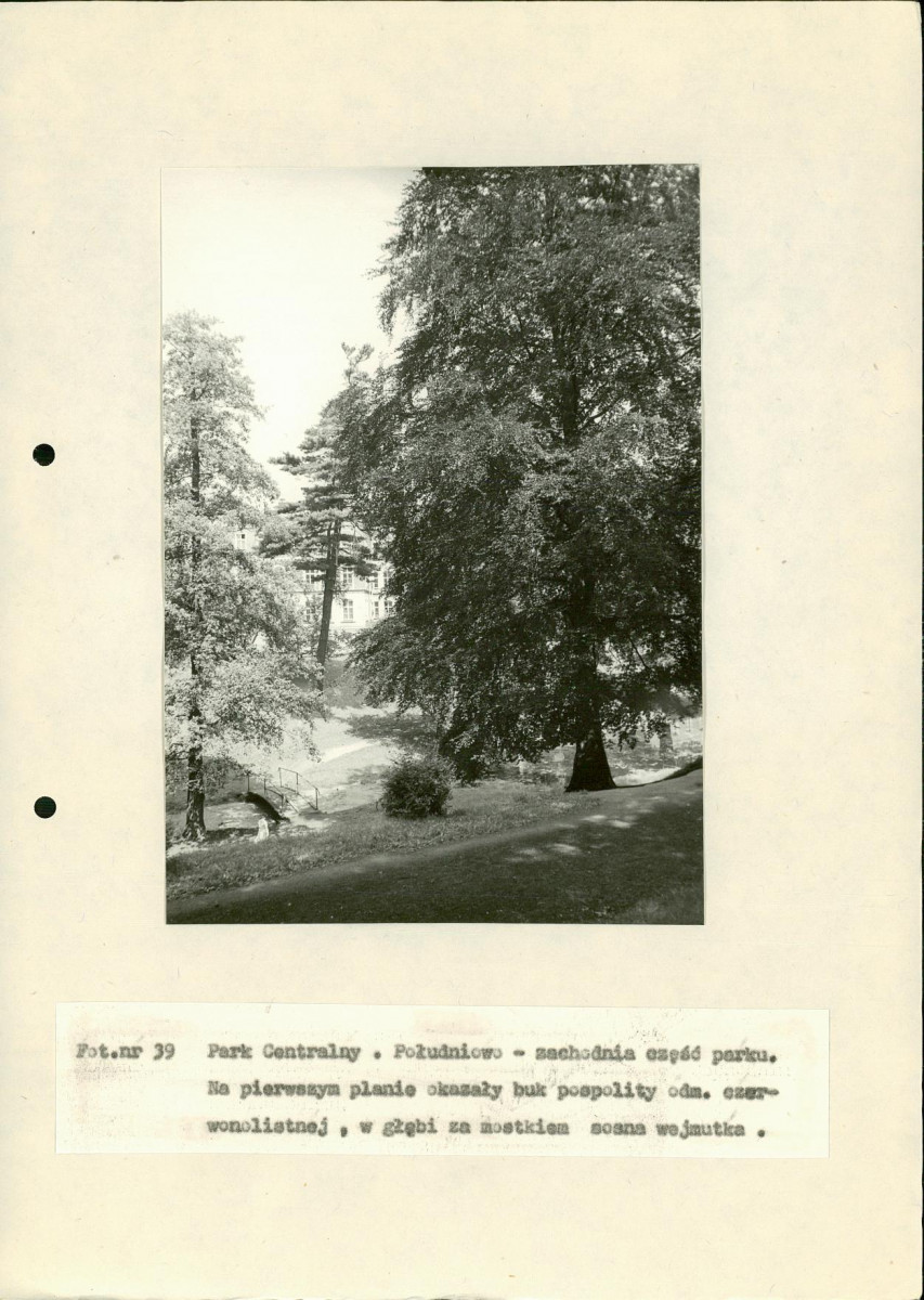 EP - Ewidencja parkowa, skan nr 117