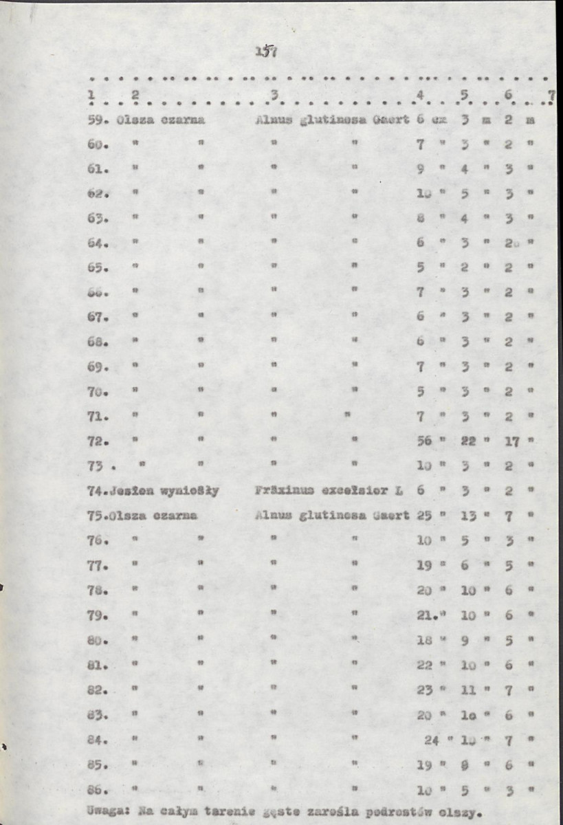 EP - Ewidencja parkowa, skan nr 177