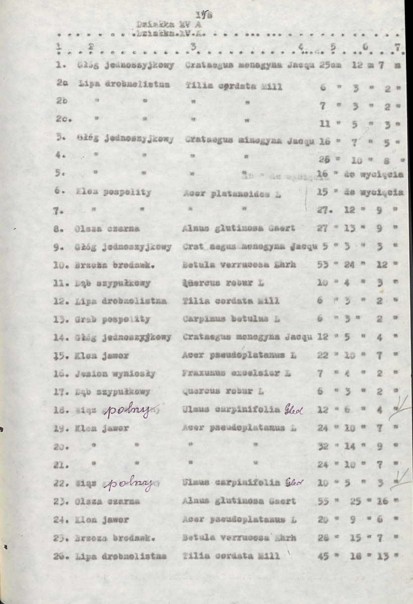 EP - Ewidencja parkowa, skan nr 178
