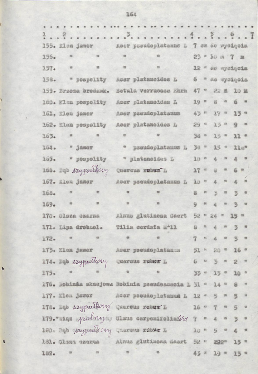 EP - Ewidencja parkowa, skan nr 184