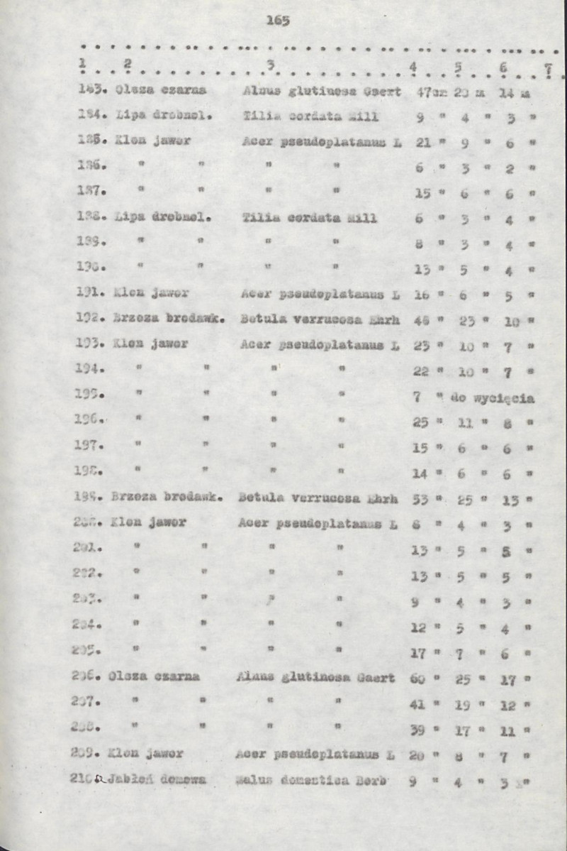 EP - Ewidencja parkowa, skan nr 185