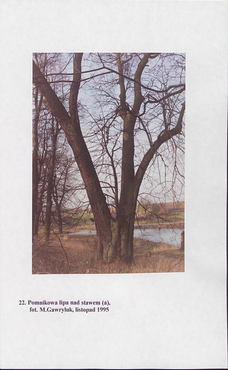 EP - Ewidencja parkowa, skan nr 121