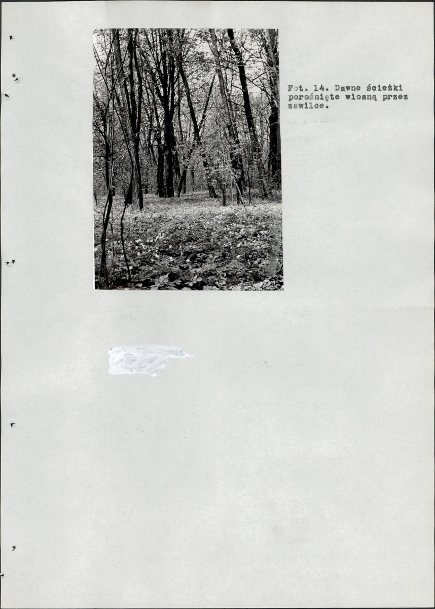 EP - Ewidencja parkowa, skan nr 88