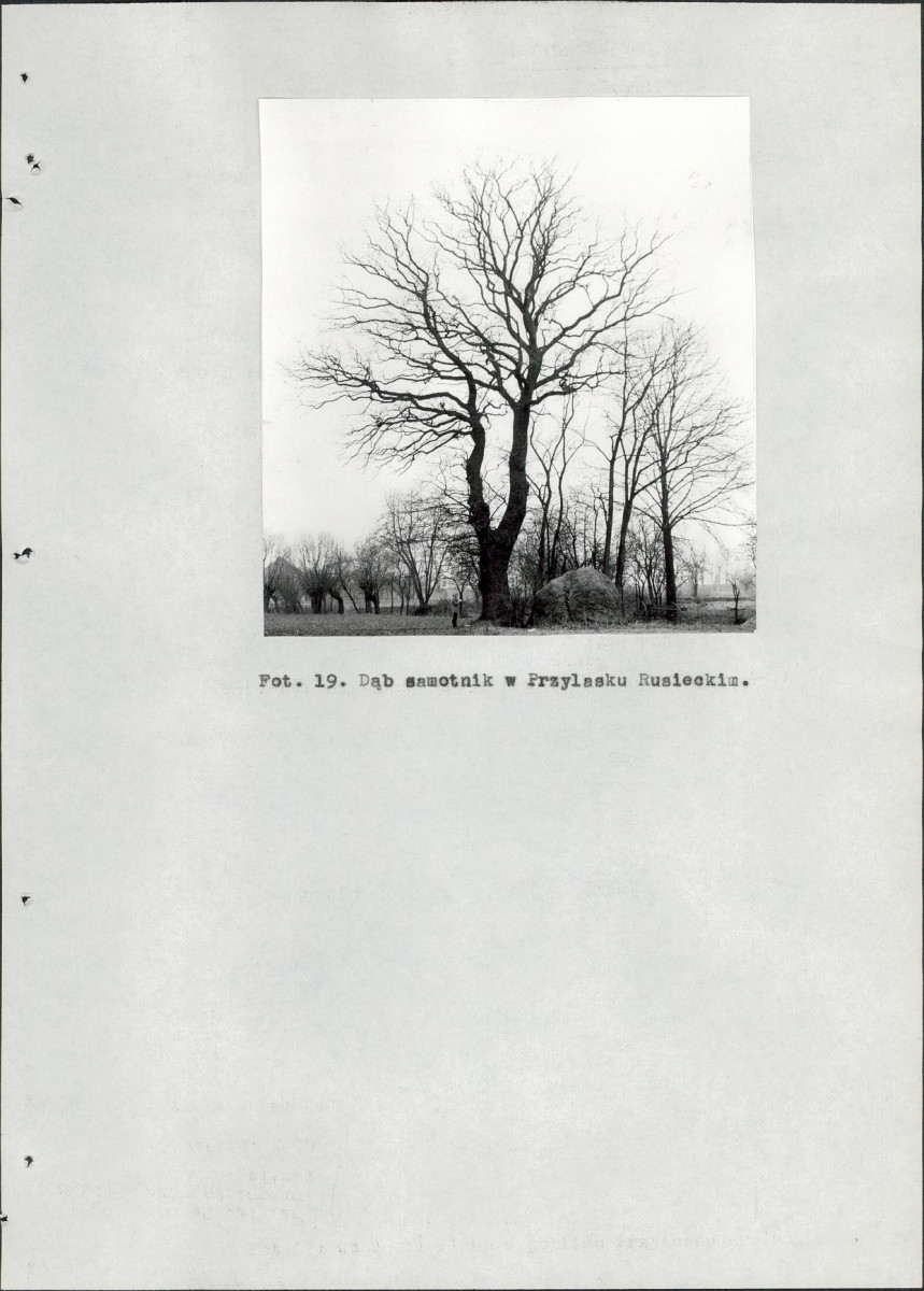 EP - Ewidencja parkowa, skan nr 91