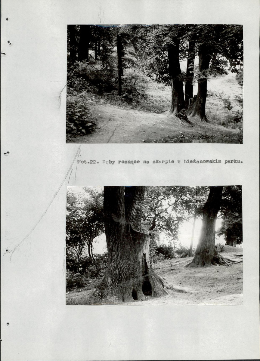 EP - Ewidencja parkowa, skan nr 94