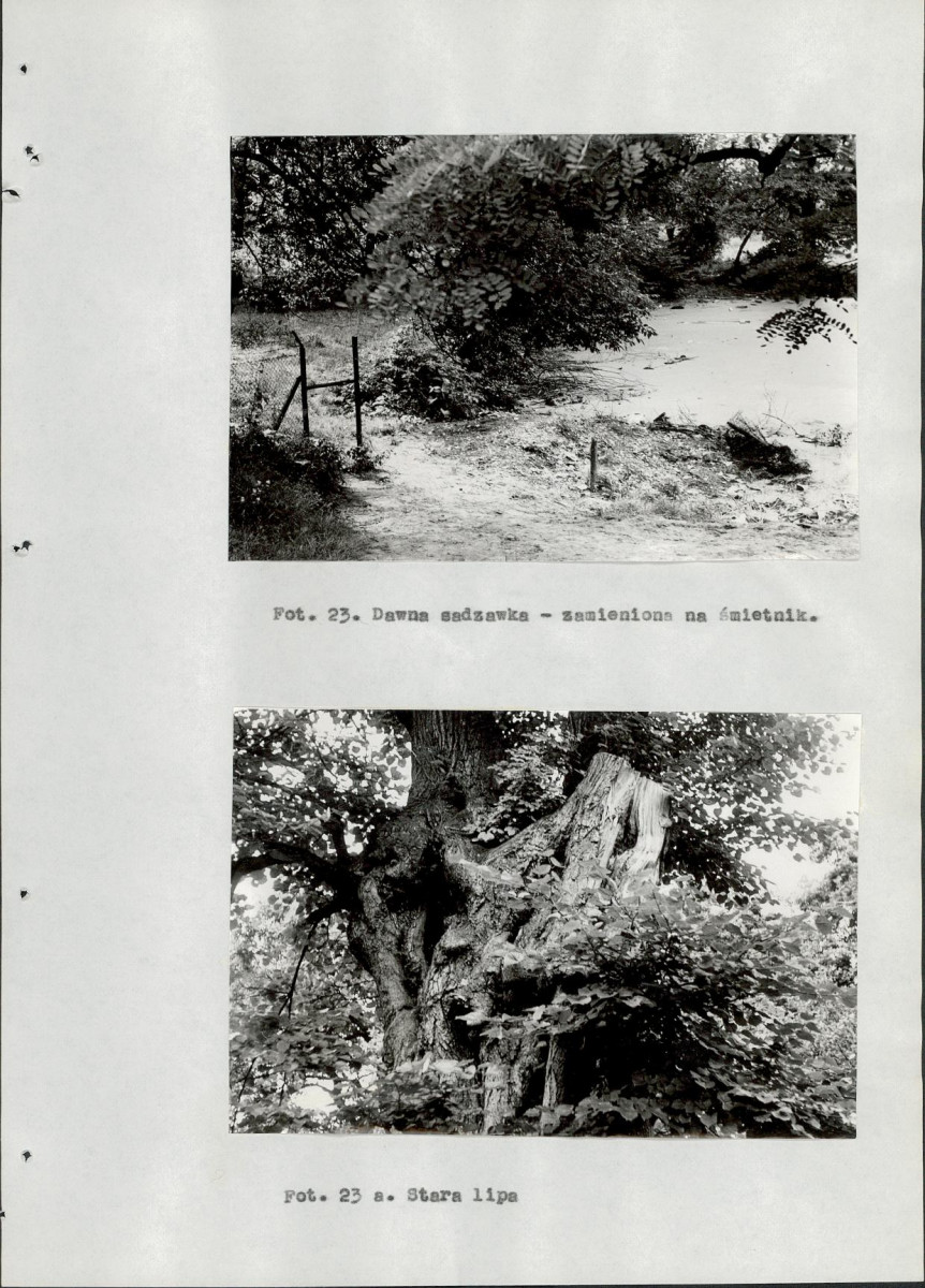 EP - Ewidencja parkowa, skan nr 95