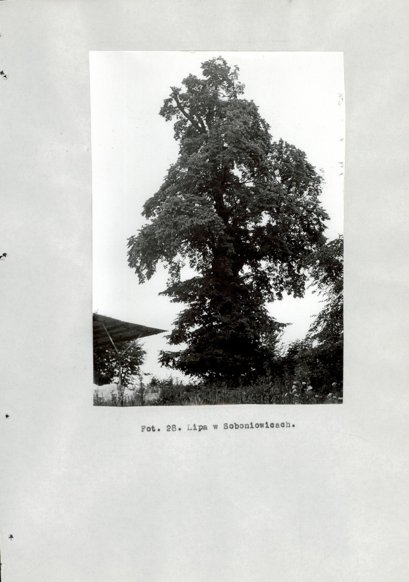 EP - Ewidencja parkowa, skan nr 98