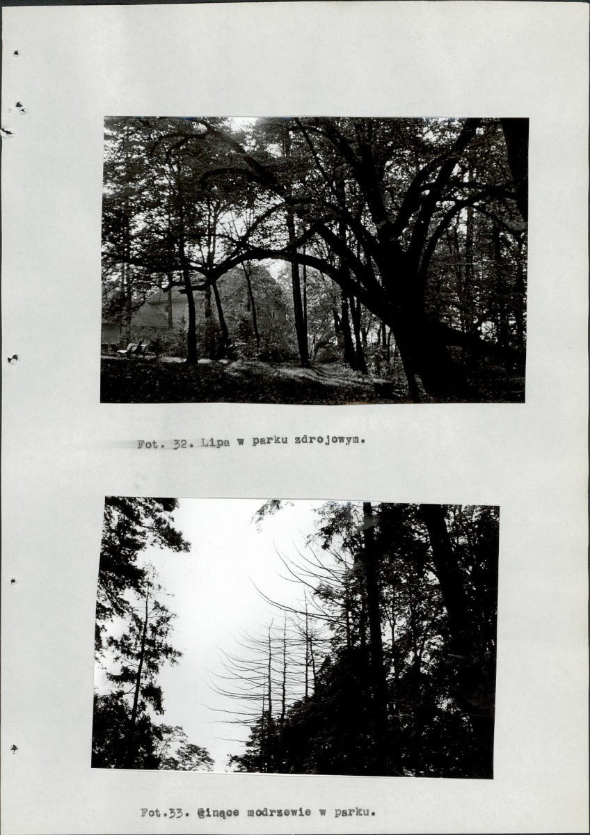 EP - Ewidencja parkowa, skan nr 101