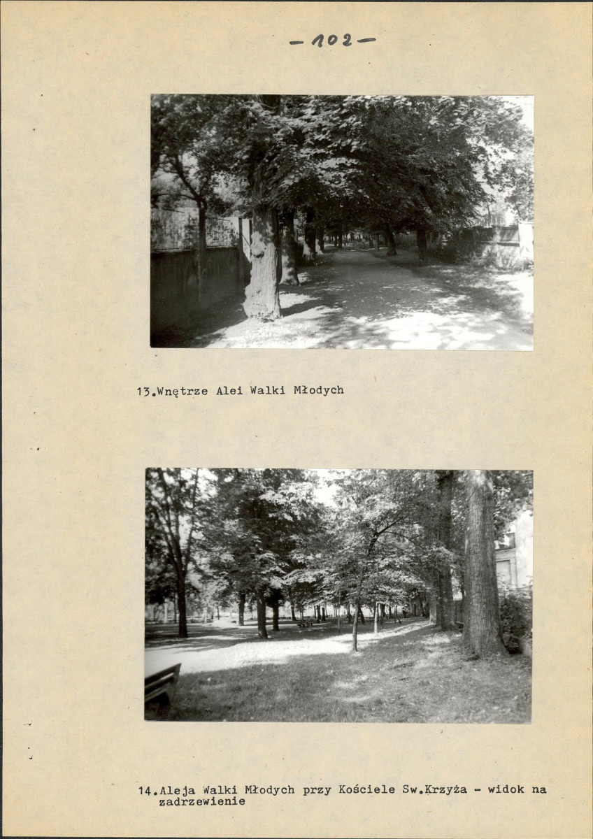 EP - Ewidencja parkowa, skan nr 121
