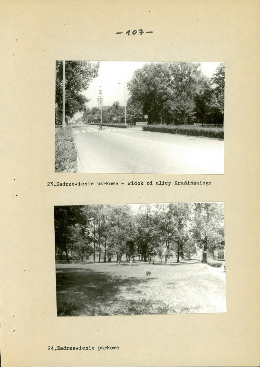 EP - Ewidencja parkowa, skan nr 126