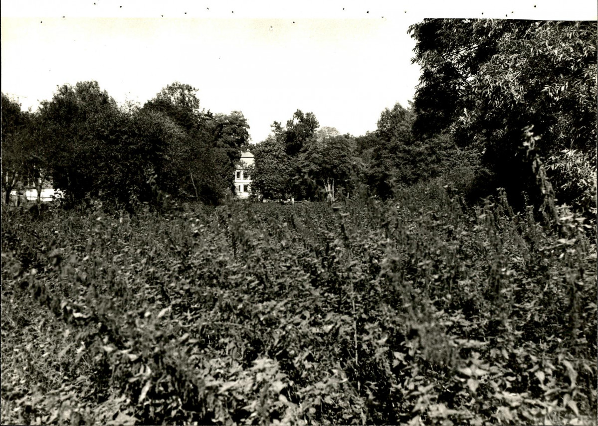 EP - Ewidencja parkowa, skan nr 102
