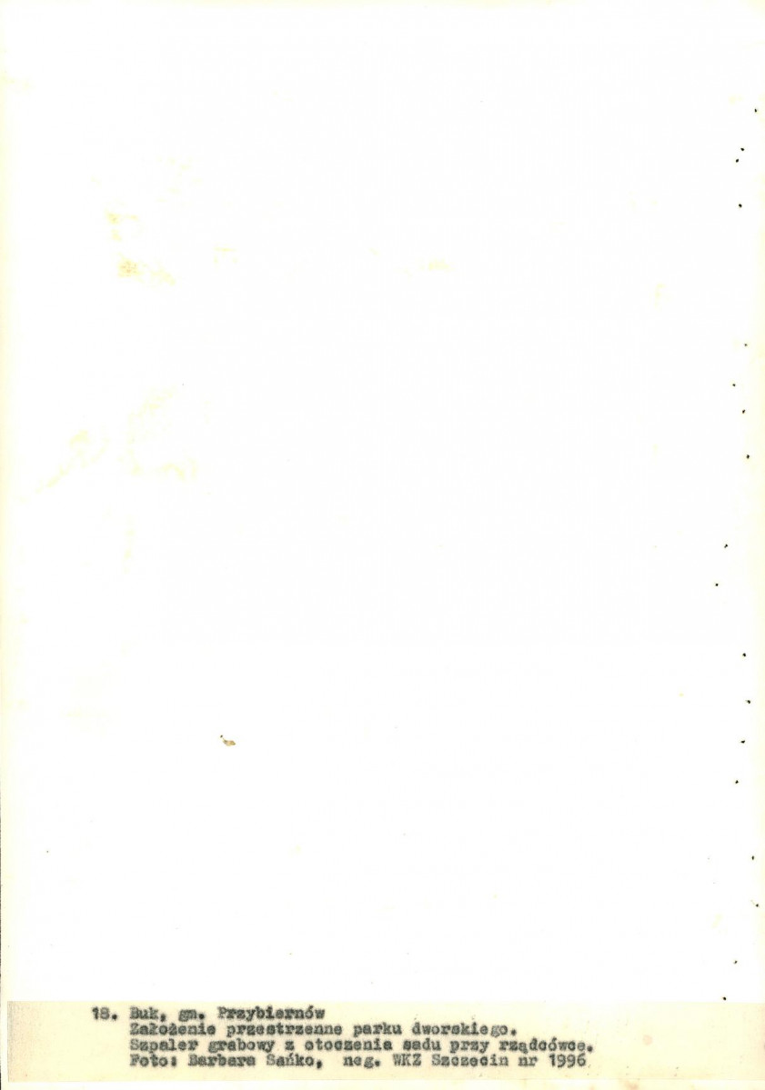 EP - Ewidencja parkowa, skan nr 115