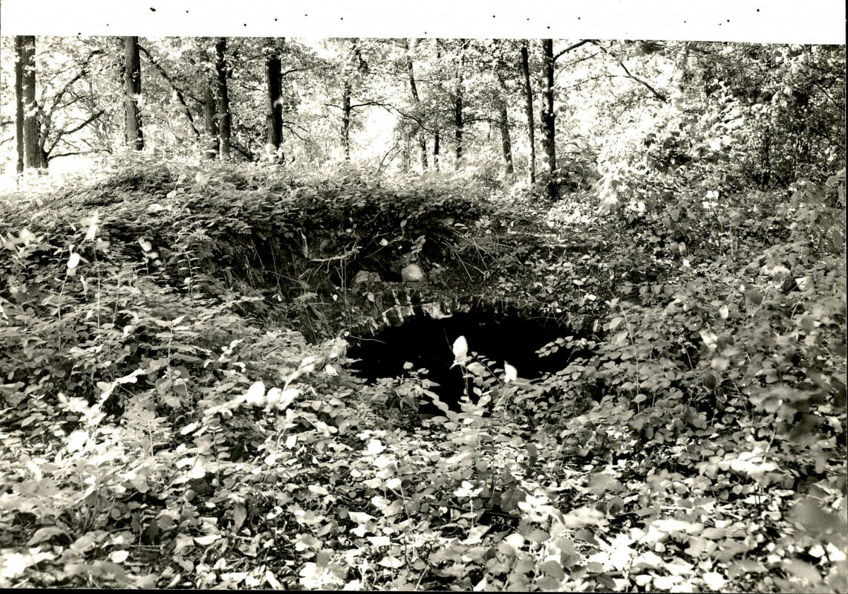 EP - Ewidencja parkowa, skan nr 116