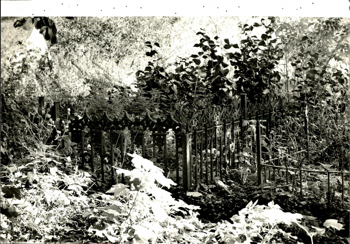 EP - Ewidencja parkowa, skan nr 118