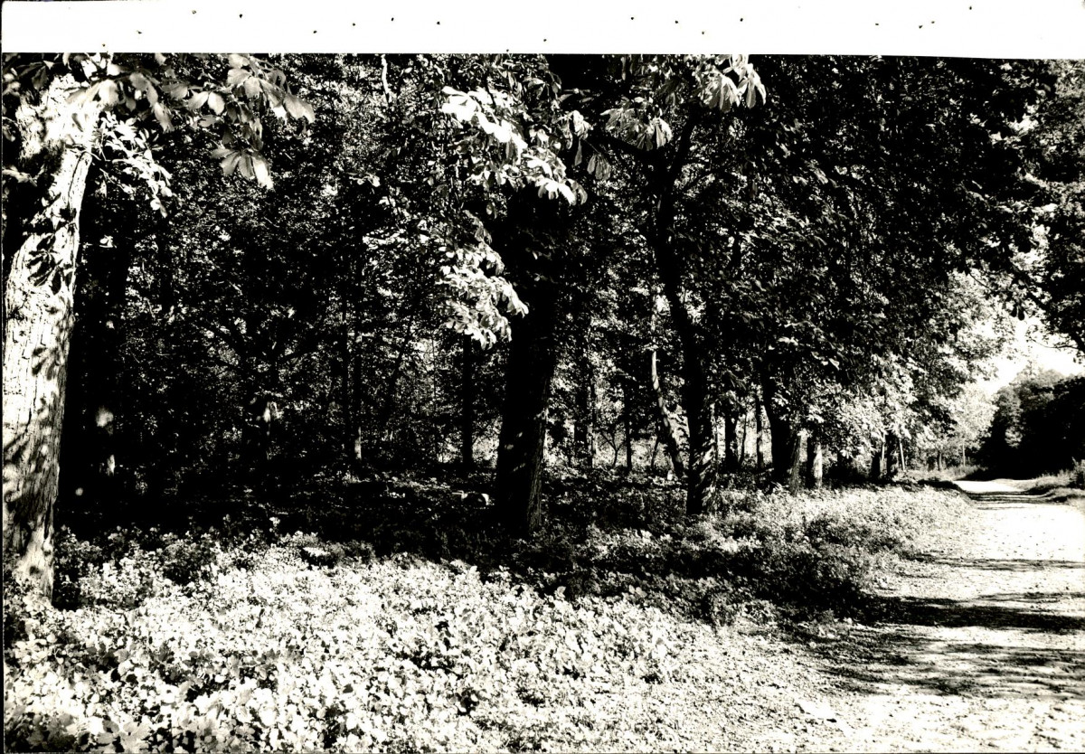 EP - Ewidencja parkowa, skan nr 120