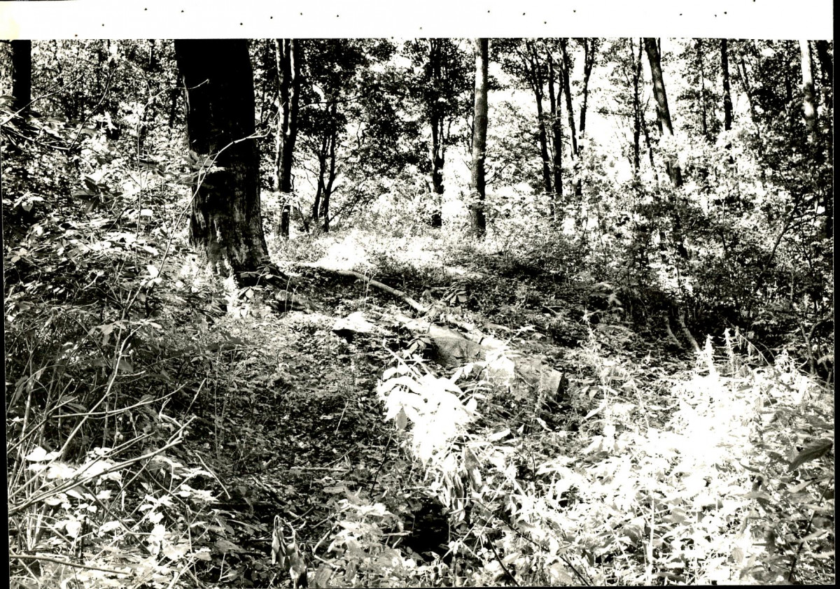 EP - Ewidencja parkowa, skan nr 124