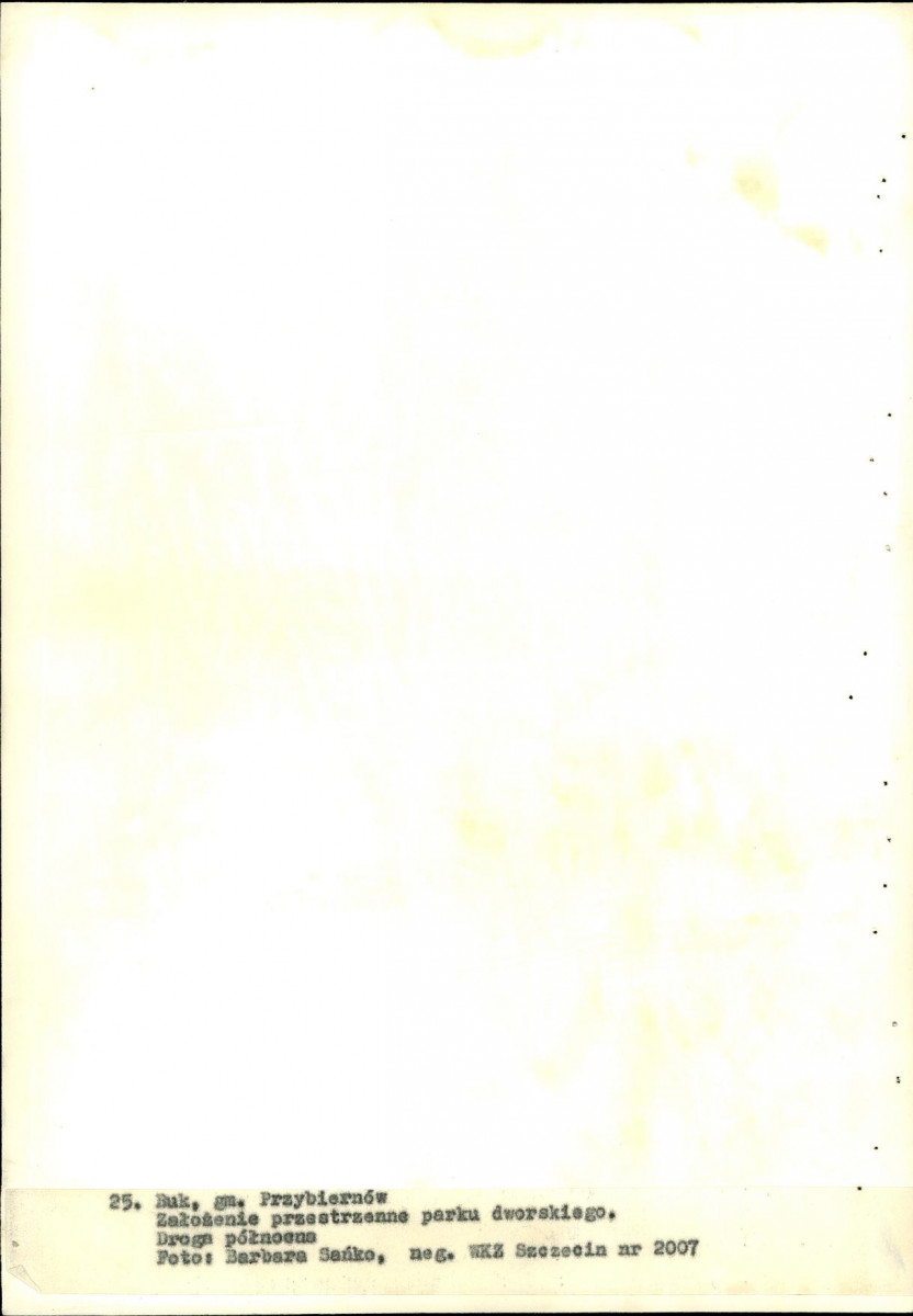 EP - Ewidencja parkowa, skan nr 129