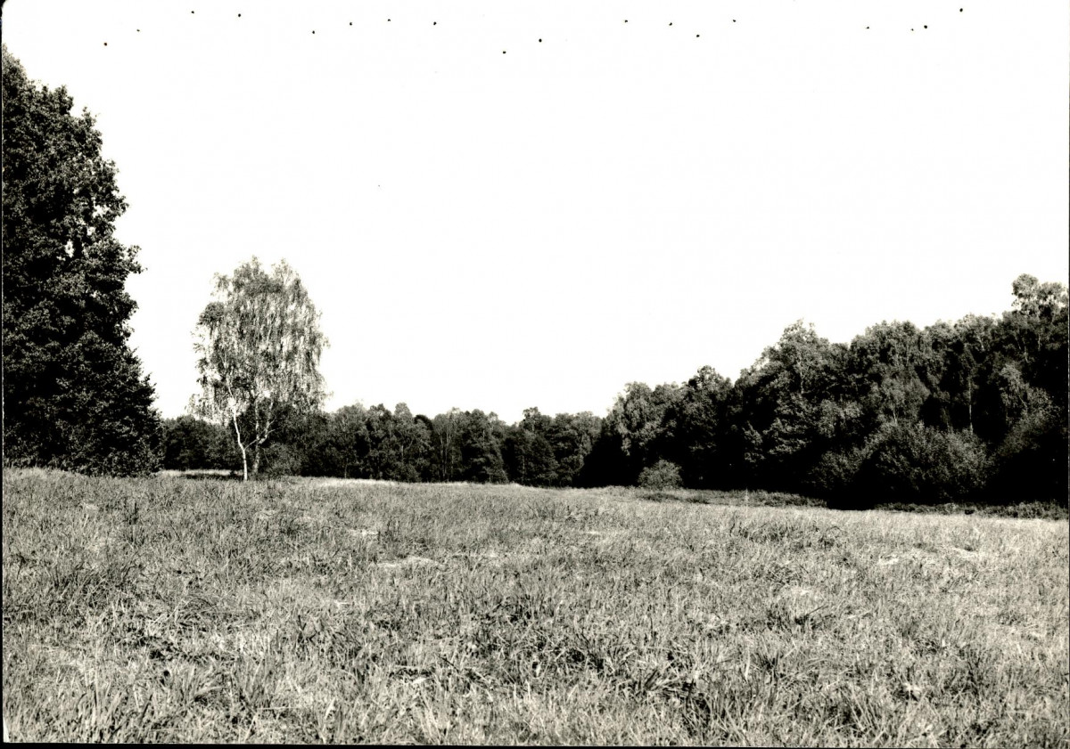 EP - Ewidencja parkowa, skan nr 130
