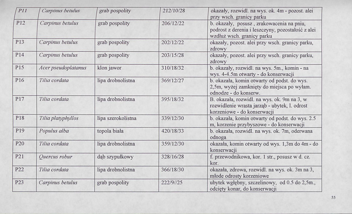 EP - Ewidencja parkowa, skan nr 71
