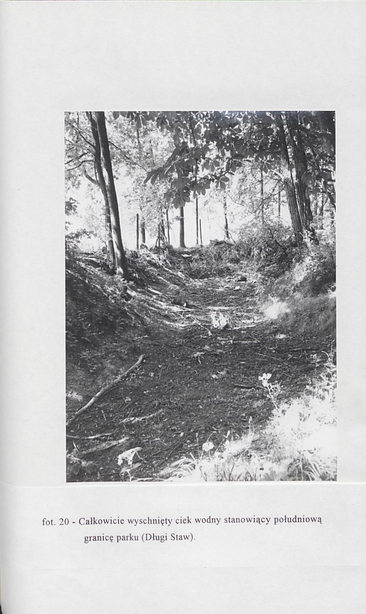 EP - Ewidencja parkowa, skan nr 113